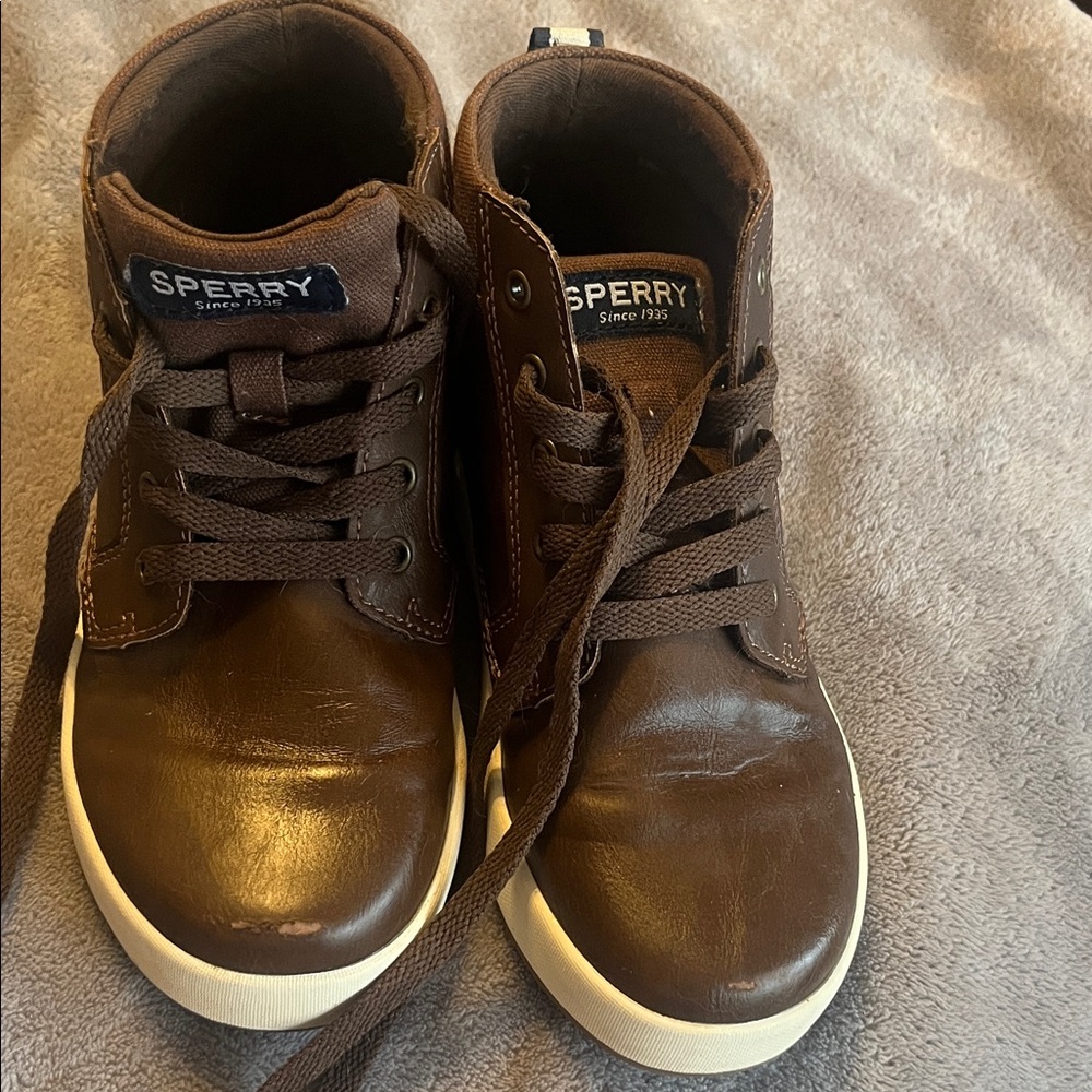 Sperry Dark Brown Leather high top Sneakers